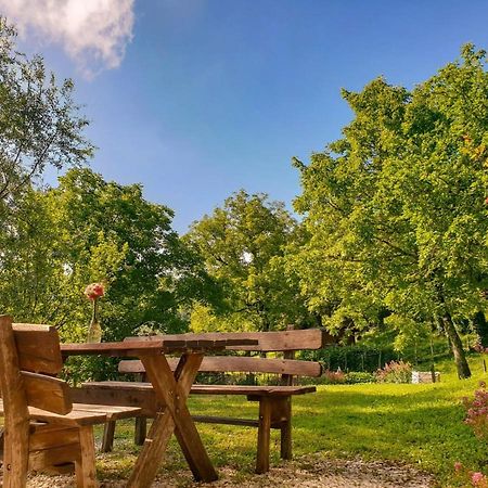 Agriturismo Il Falco Del Monte Fumaiolo Alfero Exteriér fotografie